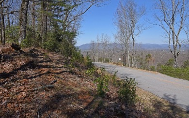 VIEWS of The Appalachian Mtns from Yonah to Brasstown Bald. Lake - Lake Lot For Sale in Cleveland, Georgia