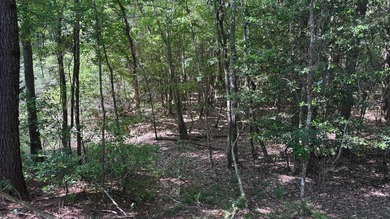 Located near Neely, Mississippi, this diverse hunting property - photo 22
