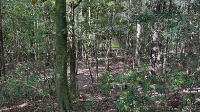 Located near Neely, Mississippi, this diverse hunting property - photo 23