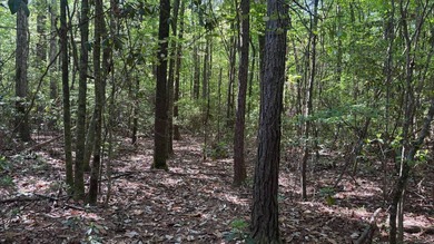 Located near Neely, Mississippi, this diverse hunting property - photo 26