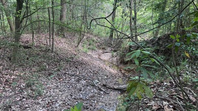Located near Neely, Mississippi, this diverse hunting property - photo 36
