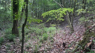 Located near Neely, Mississippi, this diverse hunting property - photo 37