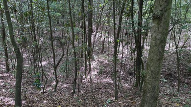 Located near Neely, Mississippi, this diverse hunting property - photo 38