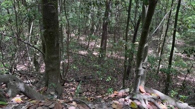 Located near Neely, Mississippi, this diverse hunting property - photo 39