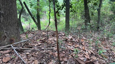 Located near Neely, Mississippi, this diverse hunting property - photo 41