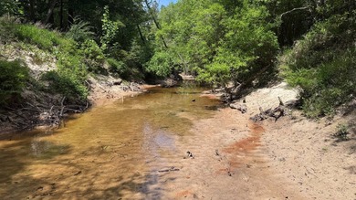 Located near Neely, Mississippi, this diverse hunting property - photo 42