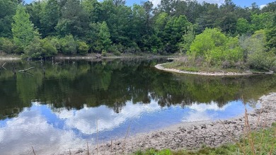 Located near Neely, Mississippi, this diverse hunting property - photo 46