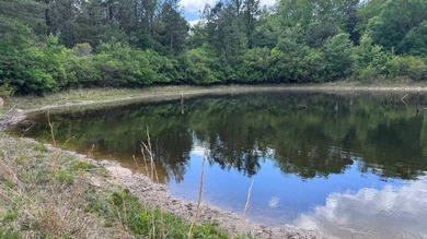 Located near Neely, Mississippi, this diverse hunting property - photo 47