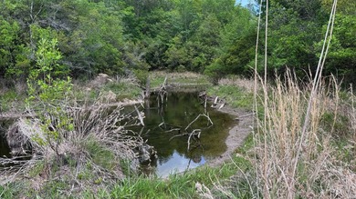 Located near Neely, Mississippi, this diverse hunting property - photo 49
