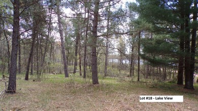 Lake Camelot Lot For Sale in Nekoosa Wisconsin