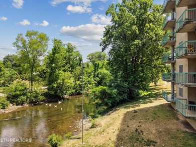 Welcome to the main attraction of East TNpletely renovated and - photo 27