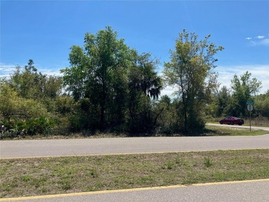 Here is your chance to own and build your own estate on this - photo 8