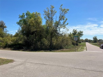 Here is your chance to own and build your own estate on this - photo 9