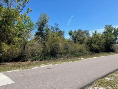 Here is your chance to own and build your own estate on this - photo 10