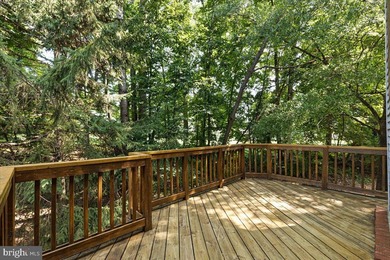 OPEN Sunday 7/19 1-3 PM. Welcome to this end-unit townhome - photo 9