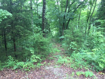 Lake Lot Off Market in Allons, Tennessee