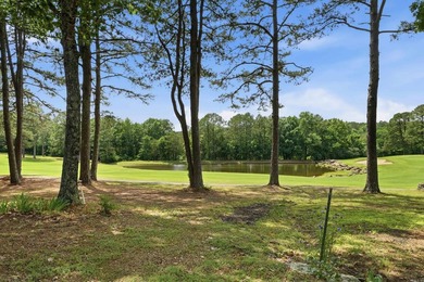 Welcome to your dream home on Mountain Ranch Golf Course! - photo 5