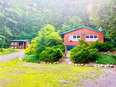 Lake Home For Sale in Little Falls, New York