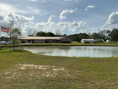 (private lake, pond, creek) Home For Sale in Surrency Georgia