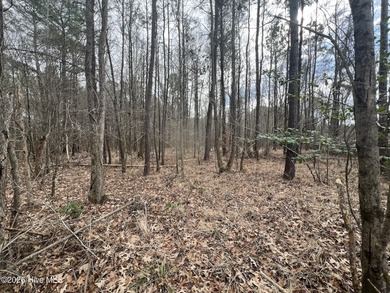 Gated Community Living in Edenton, NC! Looking for privacy - photo 11