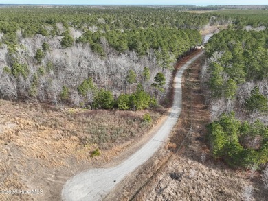 Gated Community Living in Edenton, NC! Looking for privacy - photo 13