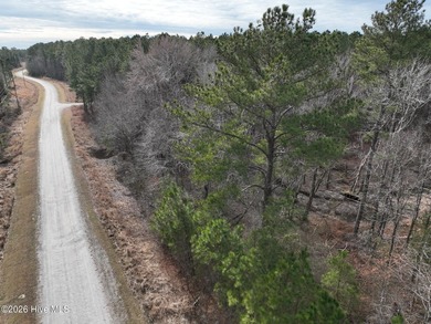 Gated Community Living in Edenton, NC! Looking for privacy - photo 18