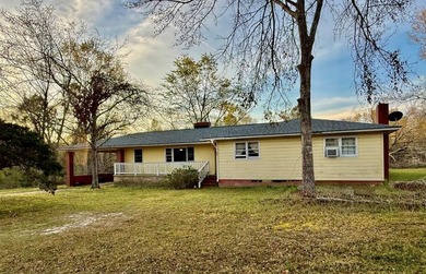 (private lake, pond, creek) Home For Sale in Vidalia Georgia