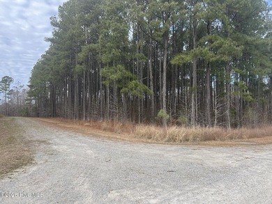 Gated Community Living in Edenton, NC! Looking for privacy - photo 21