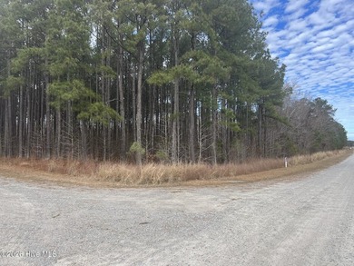 Gated Community Living in Edenton, NC! Looking for privacy - photo 23