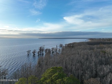 Gated Community Living in Edenton, NC! Looking for privacy - photo 24