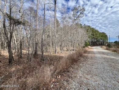 Gated Community Living in Edenton, NC! Looking for privacy - photo 26
