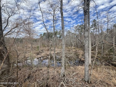 Gated Community Living in Edenton, NC! Looking for privacy - photo 27