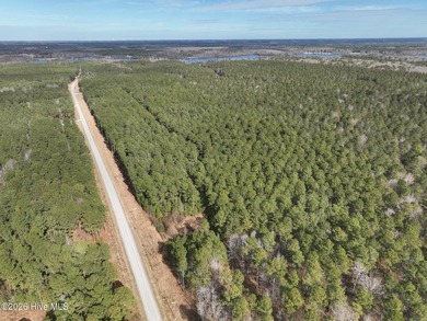 Gated Community Living in Edenton, NC! Looking for privacy - photo 30
