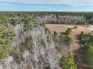 Gated Community Living in Edenton, NC! Looking for privacy - photo 35
