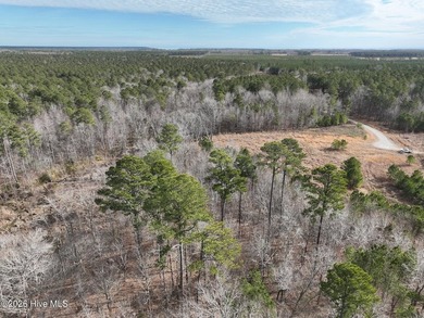 Gated Community Living in Edenton, NC! Looking for privacy - photo 36