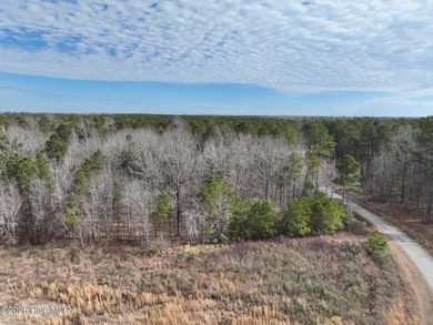 Gated Community Living in Edenton, NC! Looking for privacy - photo 39