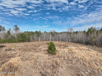 Gated Community Living in Edenton, NC! Looking for privacy - photo 40