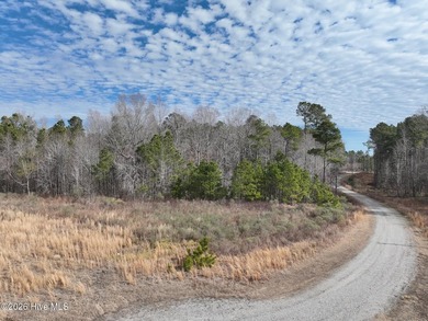 Gated Community Living in Edenton, NC! Looking for privacy - photo 41