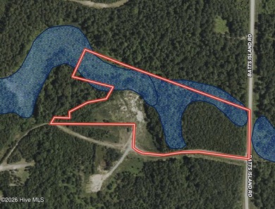 Gated Community Living in Edenton, NC! Looking for privacy - photo 43