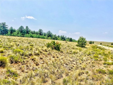 (private lake, pond, creek) Acreage For Sale in Hartsel Colorado