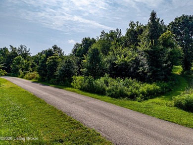 This 1.41-acre wooded lot offers an ideal setting for a - photo 5