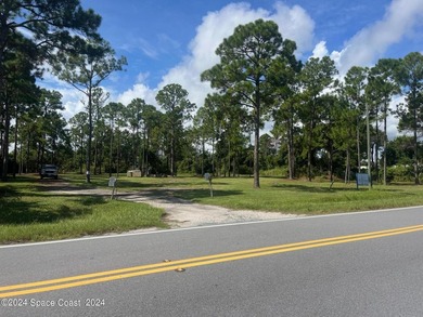 This 2.45 Industrial lot is cleared and has a foundation of - photo 1