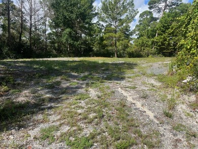 This 2.45 Industrial lot is cleared and has a foundation of - photo 9
