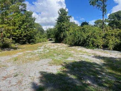 This 2.45 Industrial lot is cleared and has a foundation of - photo 10