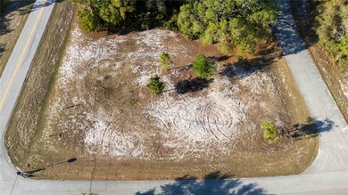 Lake Marion - Polk County Lot For Sale in Kissimmee Florida