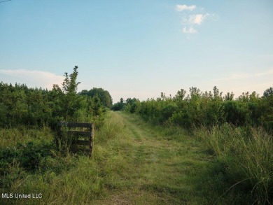 (private lake, pond, creek) Acreage For Sale in Pulaski Mississippi