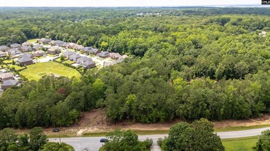 Discover a rare opportunity to own a spacious estate lot in one - photo 17