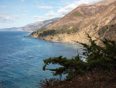 This oceanside sanctuary is set on a private forested promontory - photo 3