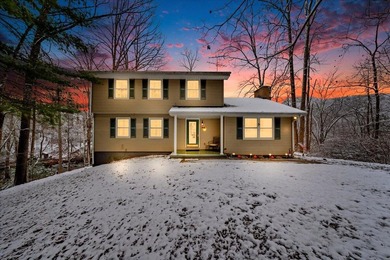 Lake Home For Sale in Goodview, Virginia