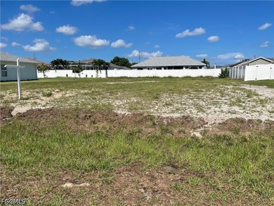 This lot is located in an X Flood Zone area and surrounded by - photo 1